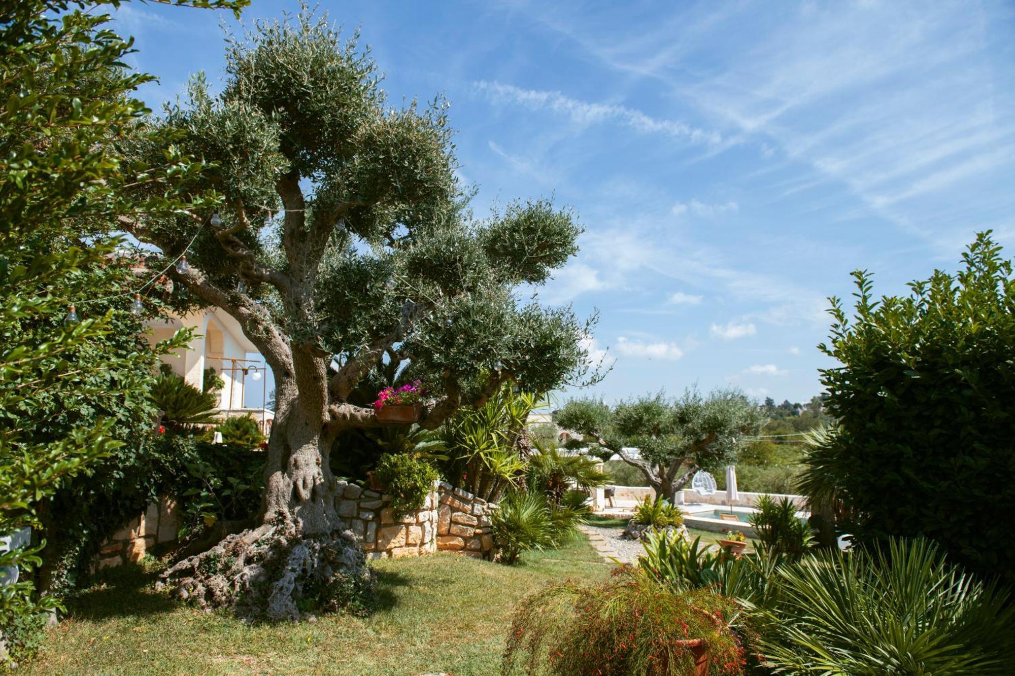Holiday Home Cosimo Locorotondo Eksteriør bilde